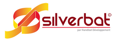 Logo Silverbat haut